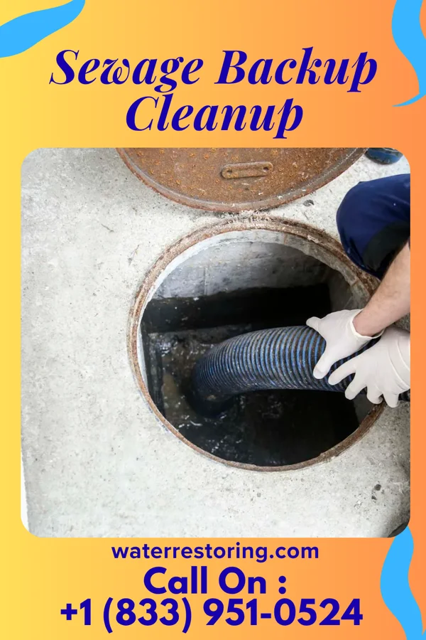 Sewage Backup Cleanup in Oak Grove, LA